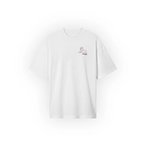 Premium Oversized Shirt | Pharmazie MLU Halle