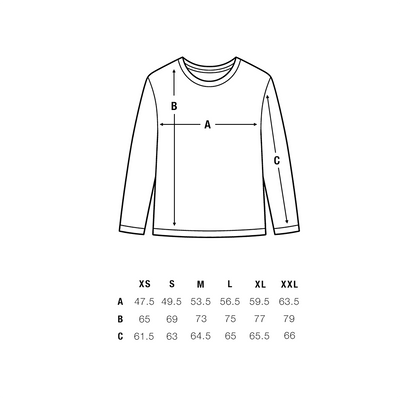 Classic Longsleeve | Informatik TU Braunschweig